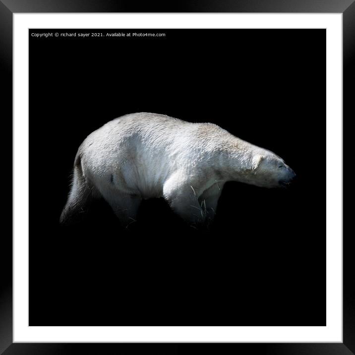 King of the Arctic Framed Mounted Print by richard sayer