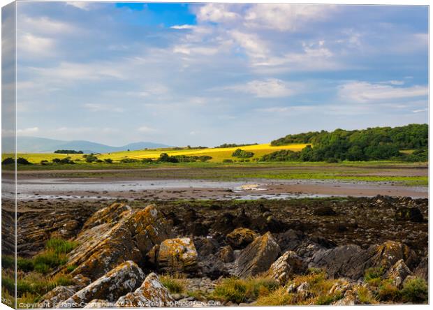 Garlieston Bay Canvas Print by Janet Carmichael