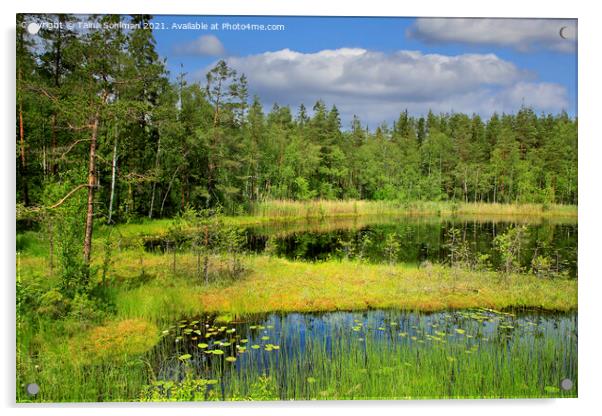 Beautiful Marshland Lake in Finland Acrylic by Taina Sohlman
