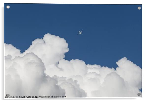 Freedom Of Flight Acrylic by David Pyatt