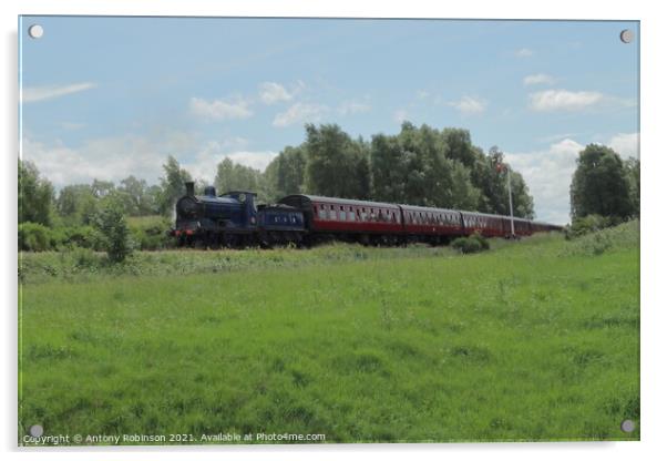 Strathspey Railway Acrylic by Antony Robinson