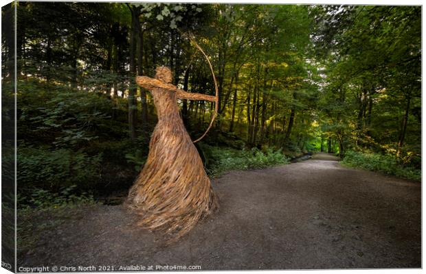 The Huntress of Skipton Castle Woods. Canvas Print by Chris North