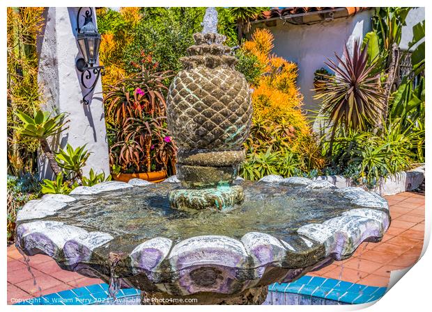 Fountain Plants Old San Diego Town California  Print by William Perry