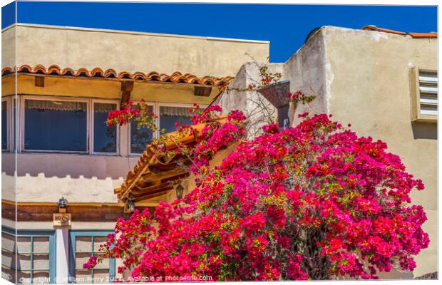 Pink Bougainvillea Old Town San Diego California  Canvas Print by William Perry