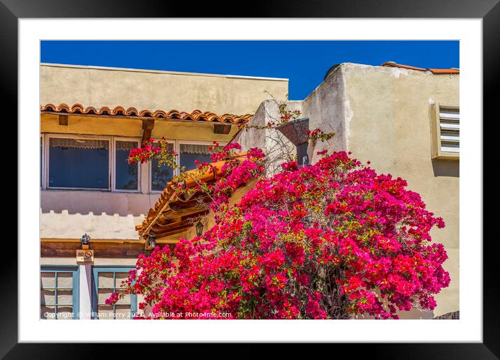 Pink Bougainvillea Old Town San Diego California  Framed Mounted Print by William Perry