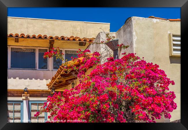 Pink Bougainvillea Old Town San Diego California  Framed Print by William Perry