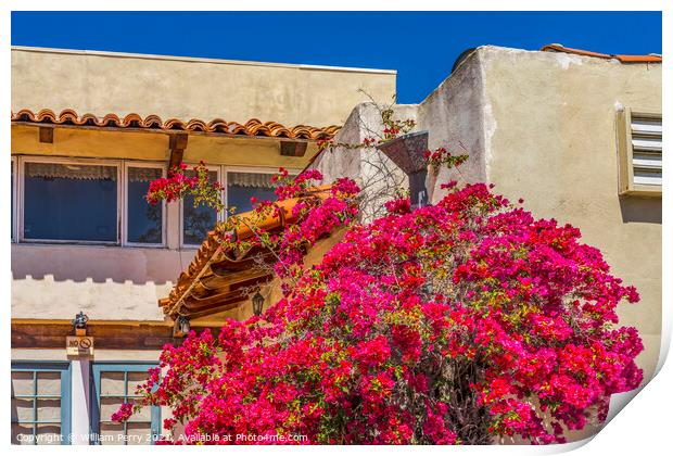 Pink Bougainvillea Old Town San Diego California  Print by William Perry