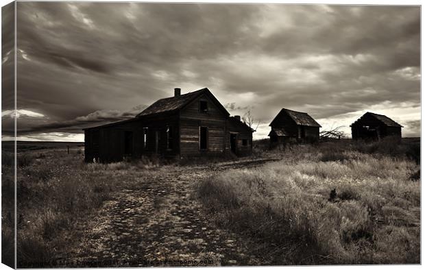 Abandoned Canvas Print by Mike Dawson