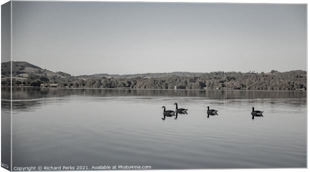 Canada geese on Lake Windemere Canvas Print by Richard Perks