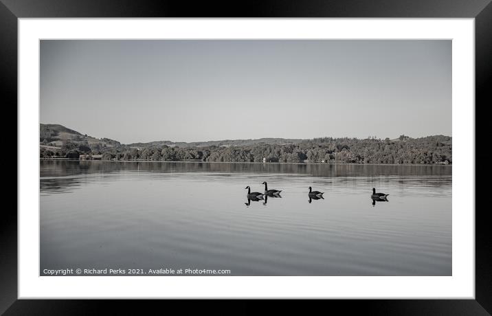 Canada geese on Lake Windemere Framed Mounted Print by Richard Perks