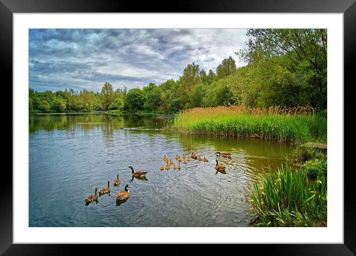 Walton Colliery Nature Park Framed Mounted Print by Darren Galpin