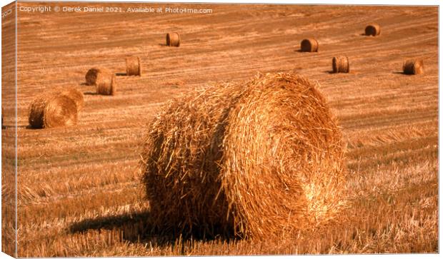 Glowing Harvest Field Canvas Print by Derek Daniel