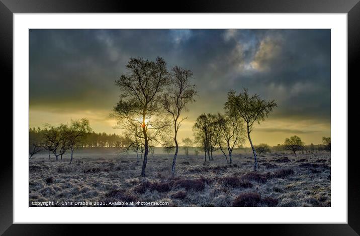 Leash Fen sunrise Framed Mounted Print by Chris Drabble