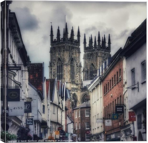 View of York Minster Canvas Print by Sarah Paddison