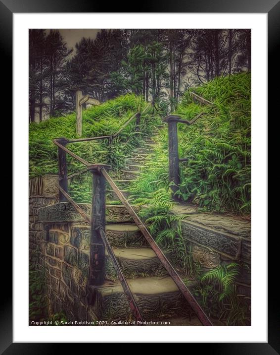 Stairway into forest Framed Mounted Print by Sarah Paddison