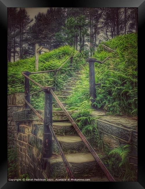 Stairway into forest Framed Print by Sarah Paddison