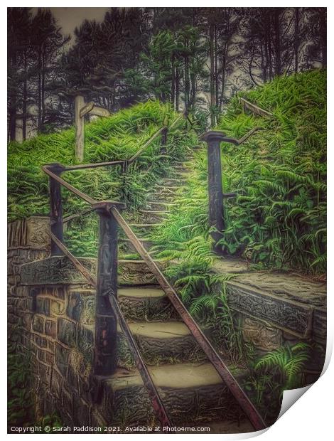 Stairway into forest Print by Sarah Paddison
