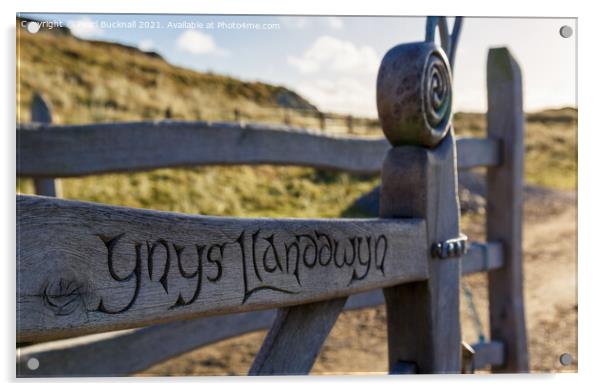 Ynys Llanddwyn Gate Anglesey Acrylic by Pearl Bucknall