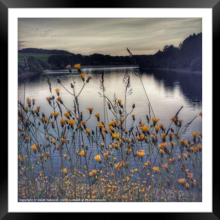 Flowers by the Reservoir Framed Mounted Print by Sarah Paddison