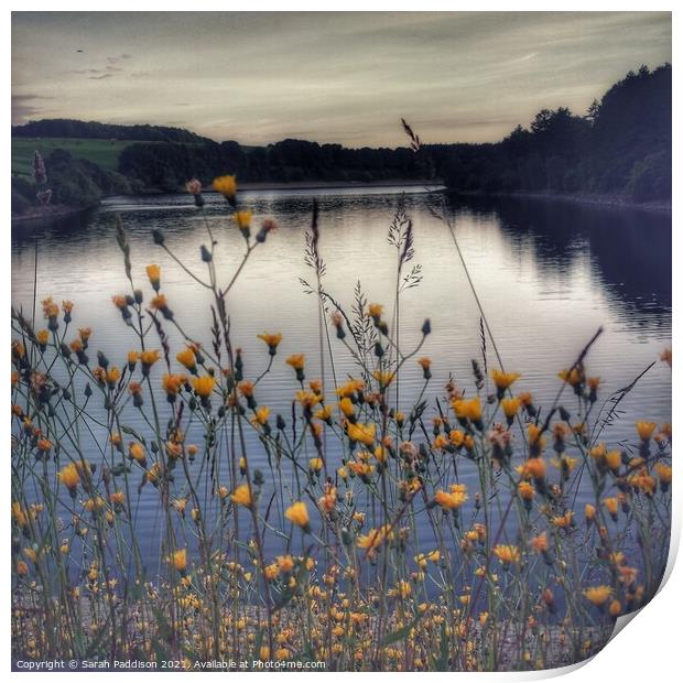 Flowers by the Reservoir Print by Sarah Paddison