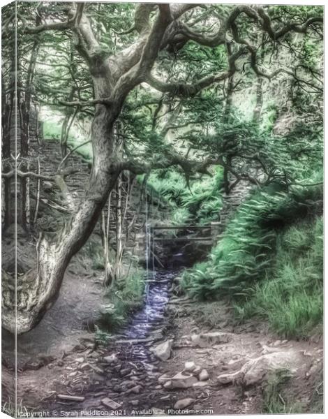 Tree and brook with rope swing Canvas Print by Sarah Paddison