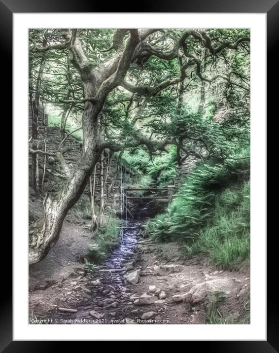Tree and brook with rope swing Framed Mounted Print by Sarah Paddison