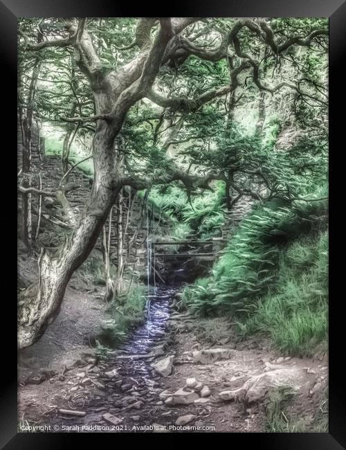 Tree and brook with rope swing Framed Print by Sarah Paddison