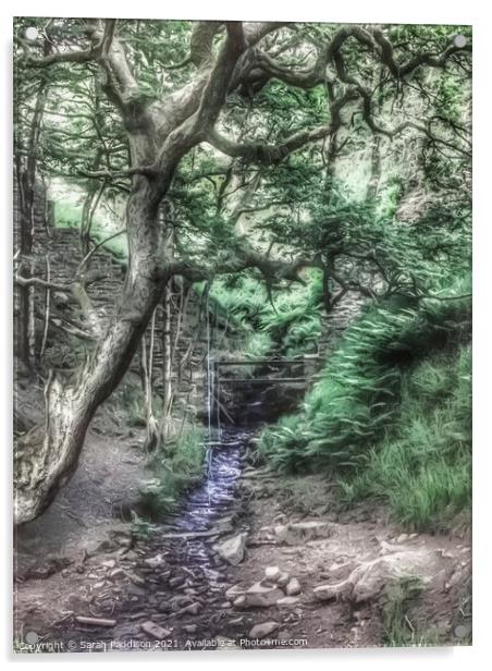 Tree and brook with rope swing Acrylic by Sarah Paddison