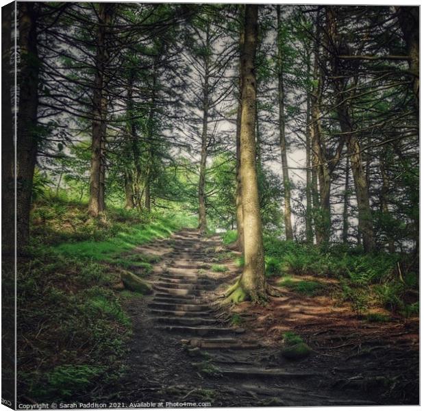 Path through woodland Canvas Print by Sarah Paddison