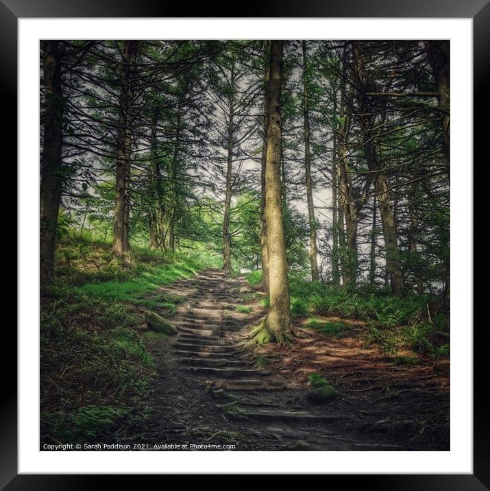 Path through woodland Framed Mounted Print by Sarah Paddison
