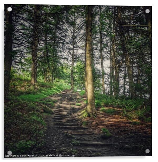 Path through woodland Acrylic by Sarah Paddison