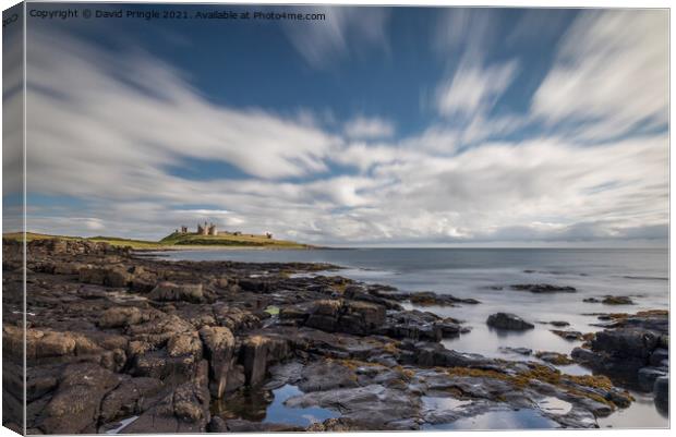 Dunstanburgh Castle Canvas Print by David Pringle