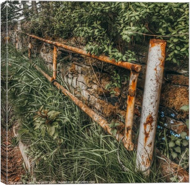 Old rusty fence reclaimed by nature Canvas Print by Sarah Paddison