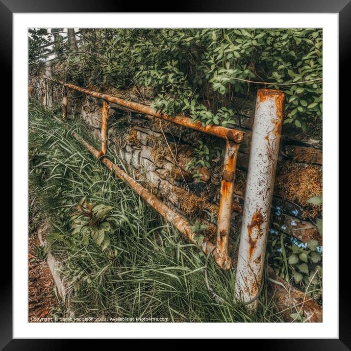 Old rusty fence reclaimed by nature Framed Mounted Print by Sarah Paddison