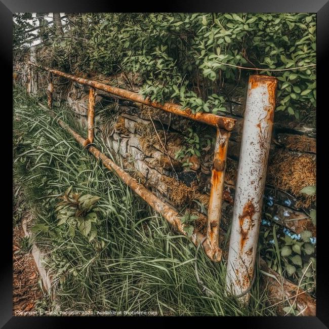 Old rusty fence reclaimed by nature Framed Print by Sarah Paddison