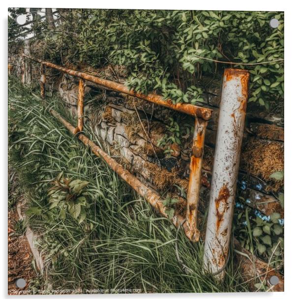 Old rusty fence reclaimed by nature Acrylic by Sarah Paddison