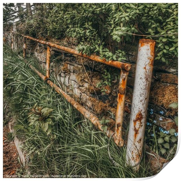 Old rusty fence reclaimed by nature Print by Sarah Paddison
