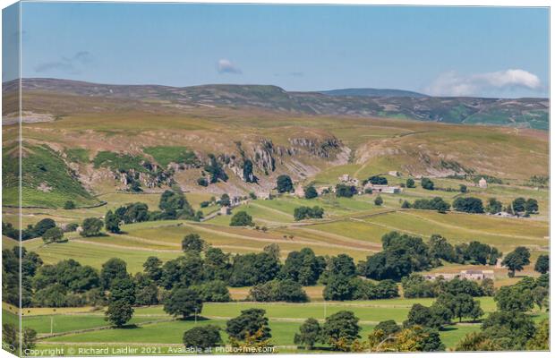Holwick, Teesdale in Summer Sunshine Canvas Print by Richard Laidler