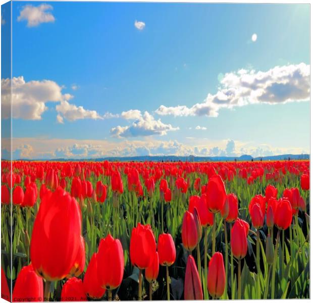 Endless Parade of Tulips Canvas Print by Buz Reid