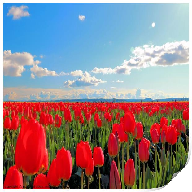 Endless Parade of Tulips Print by Buz Reid