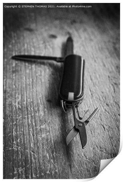 Just a little snip will do Print by STEPHEN THOMAS