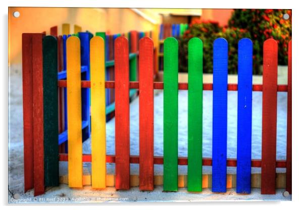 Colourful Caribbean fence Acrylic by Eti Reid
