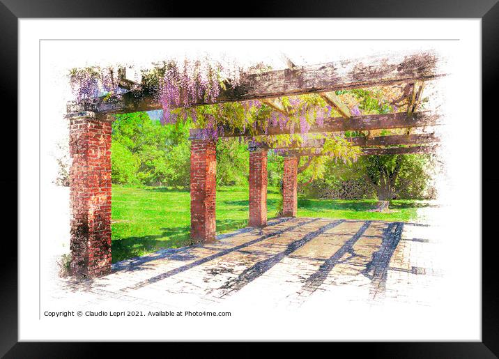 Under arbour of wisteria #3 Framed Mounted Print by Claudio Lepri