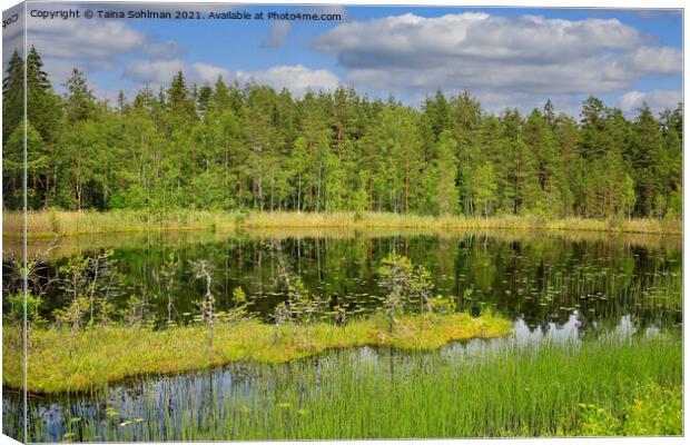 Beautiful Marshland Lake in Finland Canvas Print by Taina Sohlman