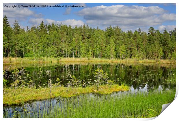 Beautiful Marshland Lake in Finland Print by Taina Sohlman