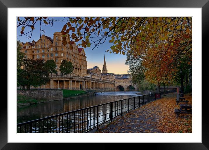 A very golden Autumn at Pulteney Weir Bath Framed Mounted Print by Duncan Savidge