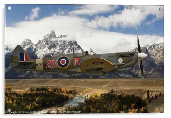 Supermarine Spitfire MkVIII ZX-M Acrylic by Steve de Roeck