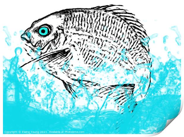 Fish Out Of Water Print by Elaine Young