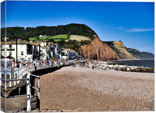 Sunny Sidmouth Canvas Print by Stephen Hamer