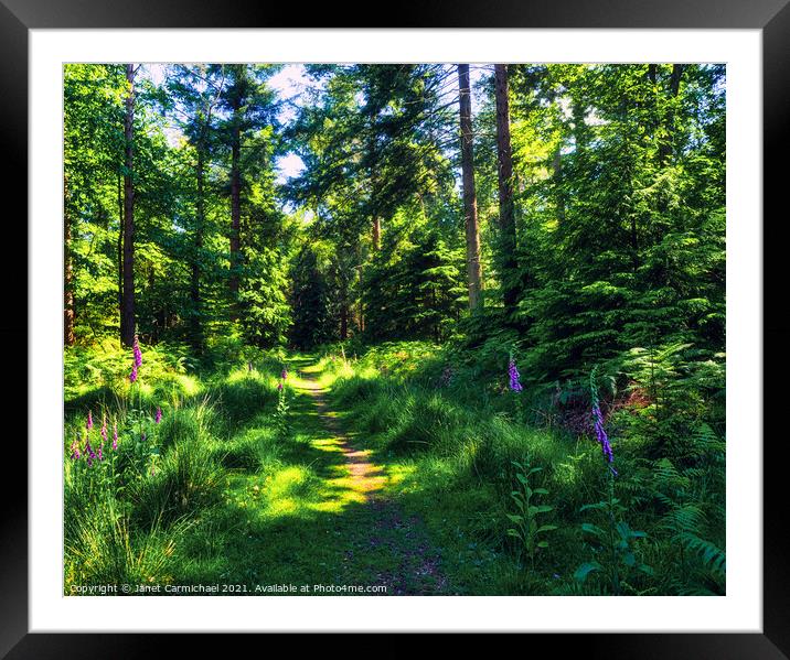 Enchanting Woodland Pathway Framed Mounted Print by Janet Carmichael